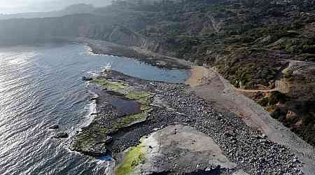 Human legs wash up along upscale shoreline