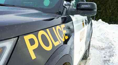 Gift cards, cash stolen from unlocked vehicles in Collingwood, Ont., lead to charges