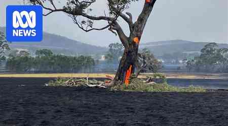 Victorian bushfire burns land and livestock, leaving Grampians communities 'shattered'