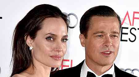 Brad Pitt and Angelina Jolie Settle Their Divorce After 8 Years