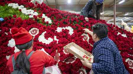 Rose Parade 2025: Time, Theme and How to Watch and Stream