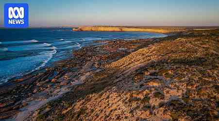 SA Police search for body of man believed killed by shark off South Australia's West Coast