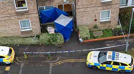 Man, 80, arrested on suspicion of murdering another pensioner inside flat