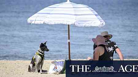 Victoria swelters through another scorcher before late cool change