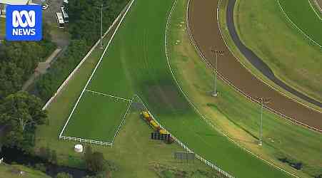 Venue for Gold Coast Magic Millions' main race day unclear as activists deny track damage