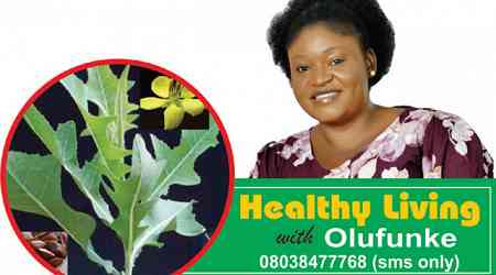 Dangers of herbal medicine abuse