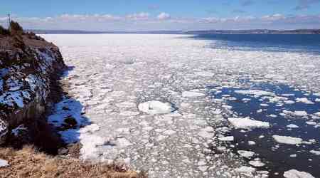 Cape Breton coastal communities concerned as climate change eliminating sea ice in Gulf