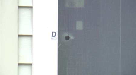 Surrey home perforated with bullets in overnight shooting