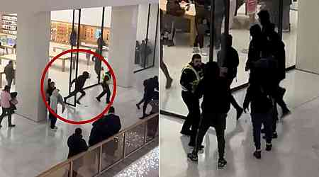 Shoppers flee in panic as youths raid busy Apple Store