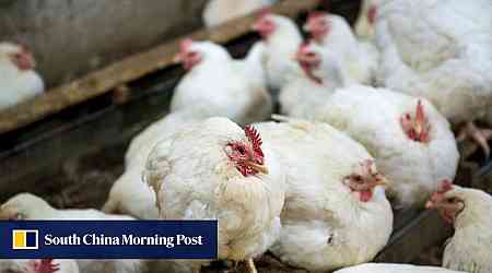 First US bird flu death reported in Louisiana, state health officials say