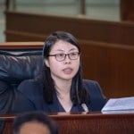 Ella Lei expresses concerns on the impact of new outdoor venue on local SMEs