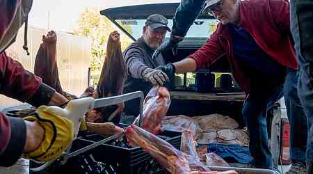 Can hunters' donations help deliver high-quality meat to Colorado food pantries?