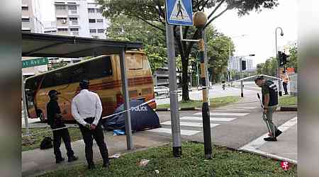 Cyclist dies after getting hit by bus at zebra crossing near Jurong West