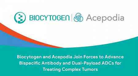 Biocytogen and Acepodia Join Forces to Advance Bispecific Antibody and Dual-Payload ADCs for Treating Complex Tumors