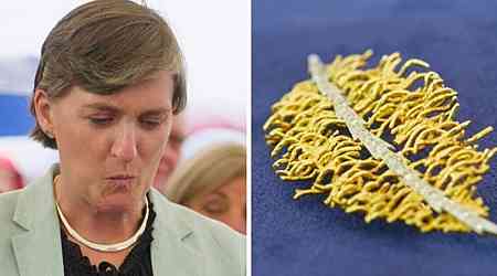 Antiques Roadshow guest lost for words at true value of grandmother's 'stunning' brooch