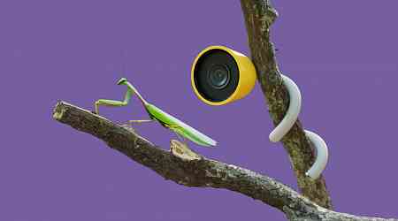 Bird Buddy Launches 'Wonder' Camera for Watching Insects