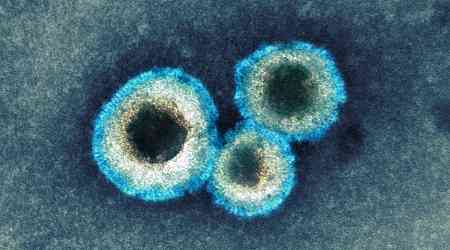 What Is Human Metapneumovirus, and Why Are Cases Rising in China?