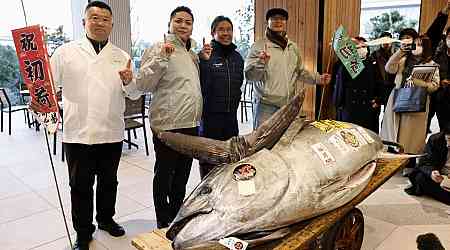 Motorbike-sized tuna sold to Tokyo sushi restaurateurs for $1.3m