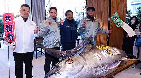 "Motorbike-Sized" Tuna Sells For More Than Rs 11 Crore At Tokyo Auction