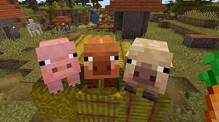 Minecraft adds new pig variants, ambient falling leaves, wildflowers, and more for public testing