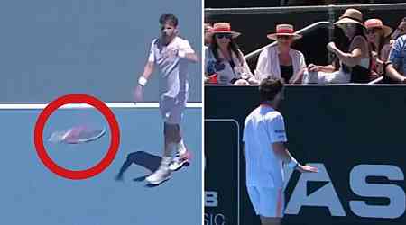 Star hits fan with racquet in wild scenes