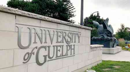 University of Guelph residences hit by stomach illness affecting dozens of students