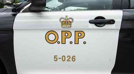 Four arrested as part of investigation into alleged cross-border smuggling: OPP