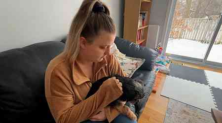 Group calls on province to ban rat poison after Kanata dog nearly dies