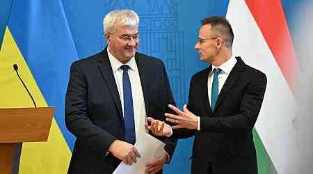 Ukraine says ready to replace Hungary in EU and NATO