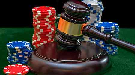 New interim director of gaming watchdog named