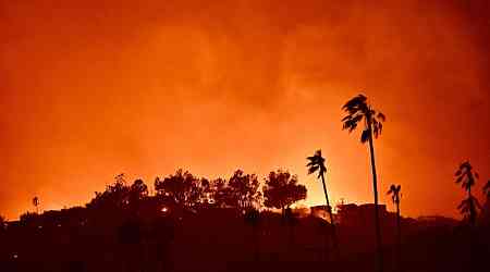 Los Angeles Fires Force Evacuations and Impact Art Institutions