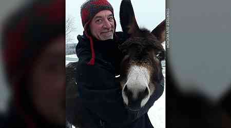 'He didn't need to suffer that way': N.S man mourns donkey's death after new year fireworks