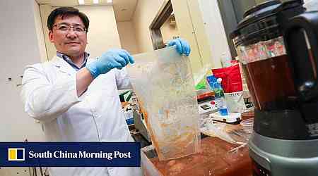 Hong Kong scientists turn kombucha ingredient into plastic substitute