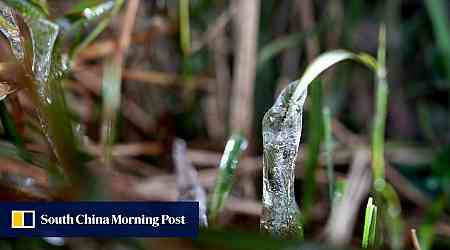 Hongkongers can expect frost on high ground, New Territories on Sunday