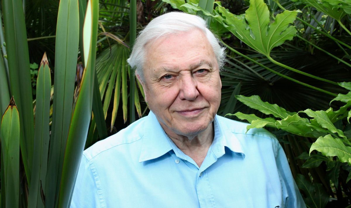 David Attenborough makes return to beloved BBC show 17 years after filming first series