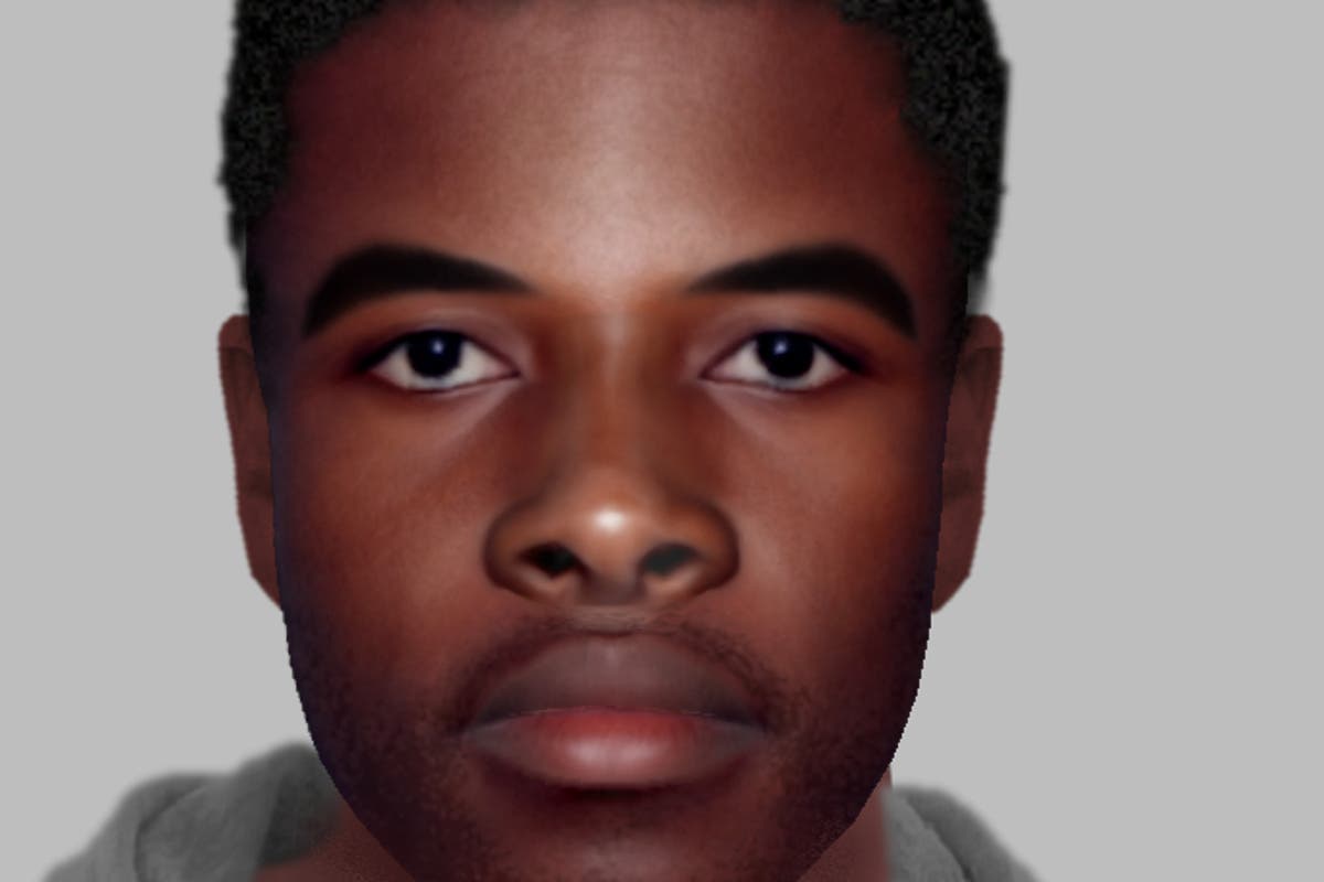 Hunt for man after woman ambushed in Wembley alleyway