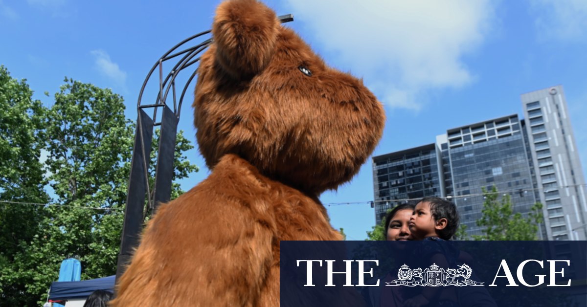 Massive bears, rooftop bars and doggy cinemas arrive at Parramatta