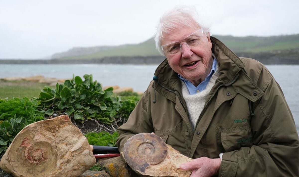 David Attenborough breaks silence on incredible discovery of huge sea monster's skull