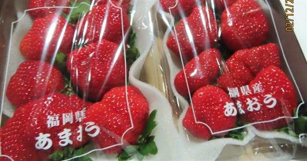 Strawberries from Japan to remain subject to 100% border checks
