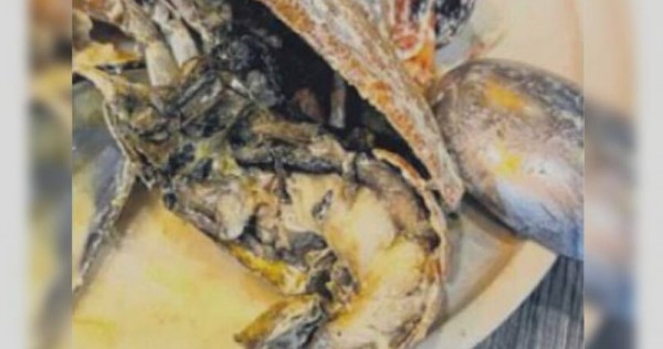 Diner complains of blackened, unfresh lobster in dish; restaurant says it's charred from grilling
