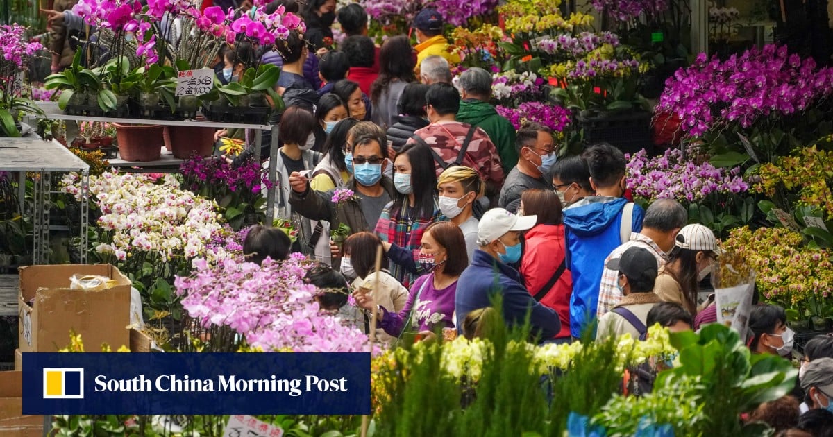 Hong Kong cold spell threatens Lunar New Year blooms, giving flower farmers the jitters