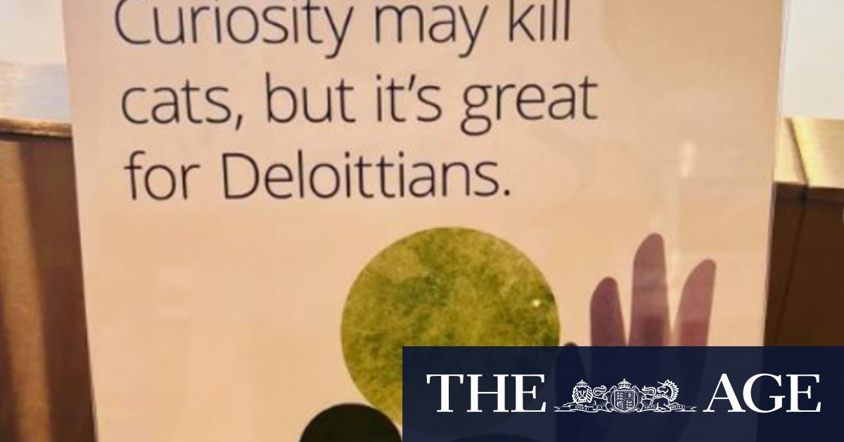 Introducing Deloitte, a poster child for the cringe era