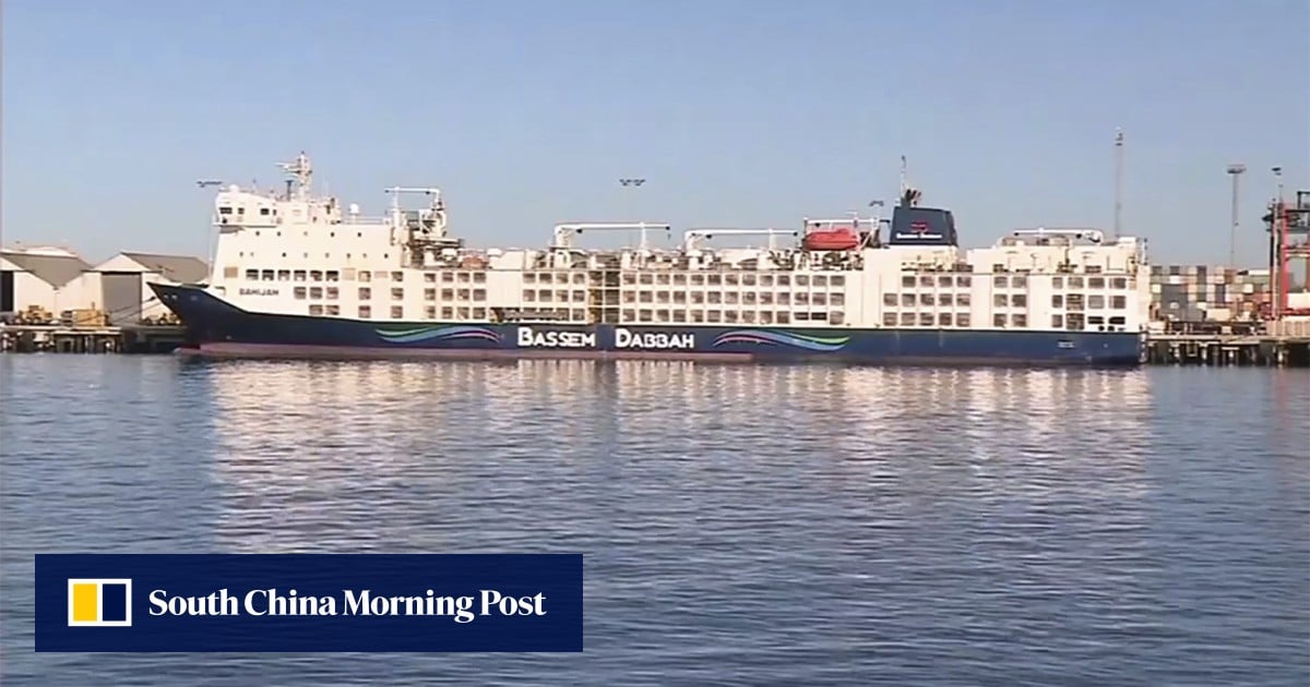 Australian livestock stuck in limbo on ship in Perth as second vessel heads to Red Sea
