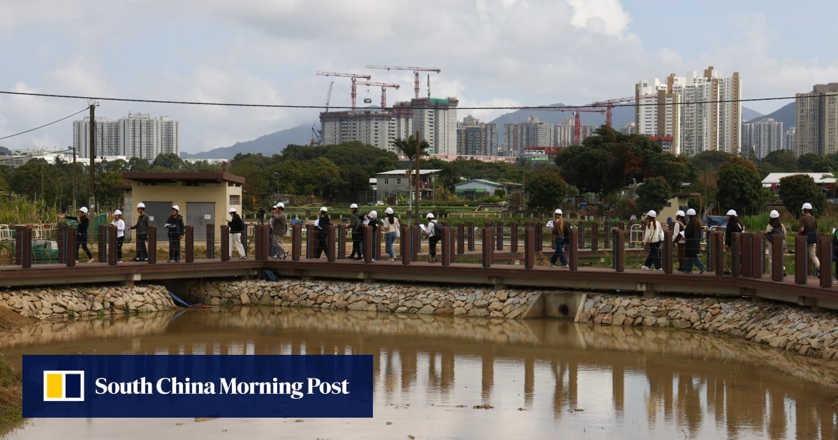 Environmental impact report on Hong Kong border project misidentified birds, but no plans to redo assessment