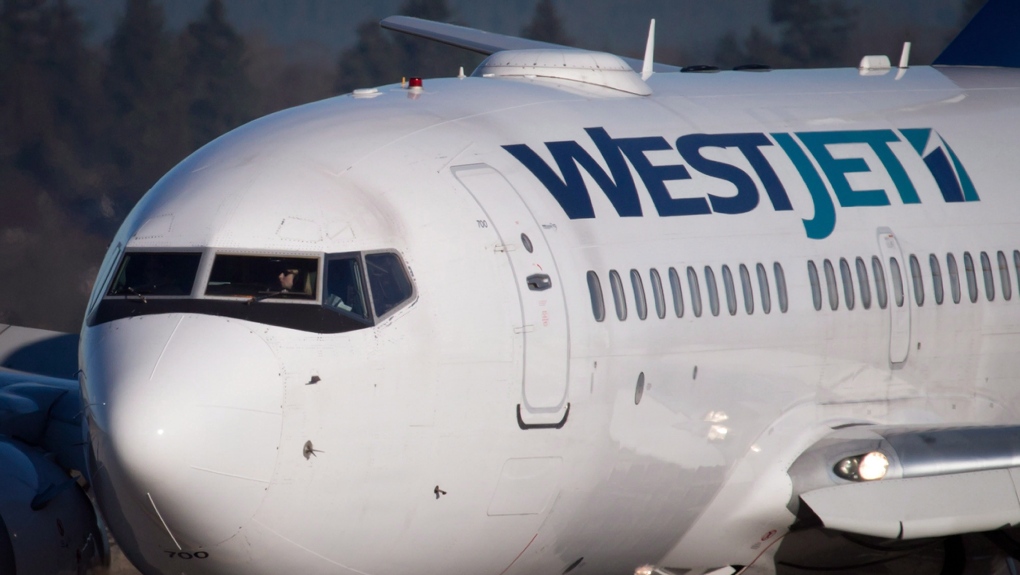 Flight diverted to Winnipeg after passenger tries to open door