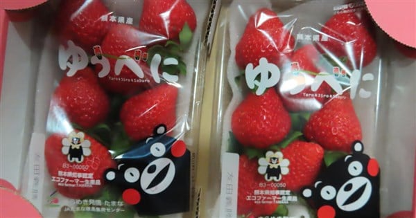 Japanese strawberries seized for excess pesticides could soon be legal