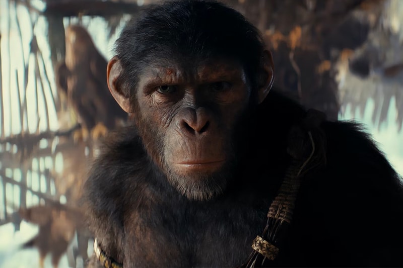 'Kingdom of the Planet of the Apes' Official Trailer Shows a Tyrannical Proximus