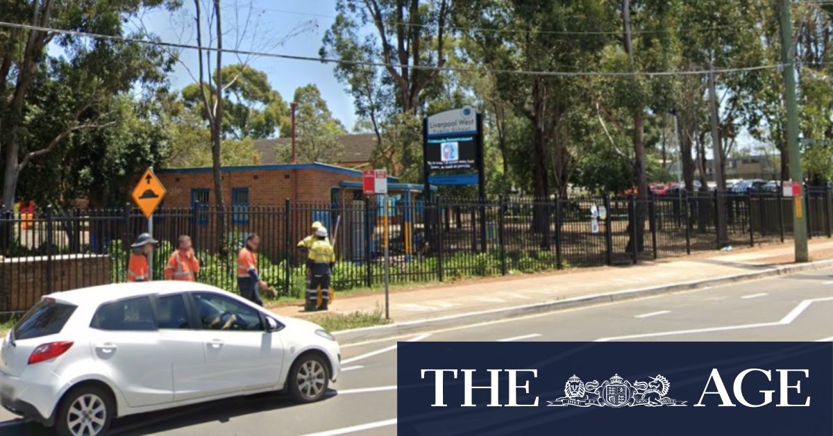 Mulch containing asbestos found at Sydney primary school