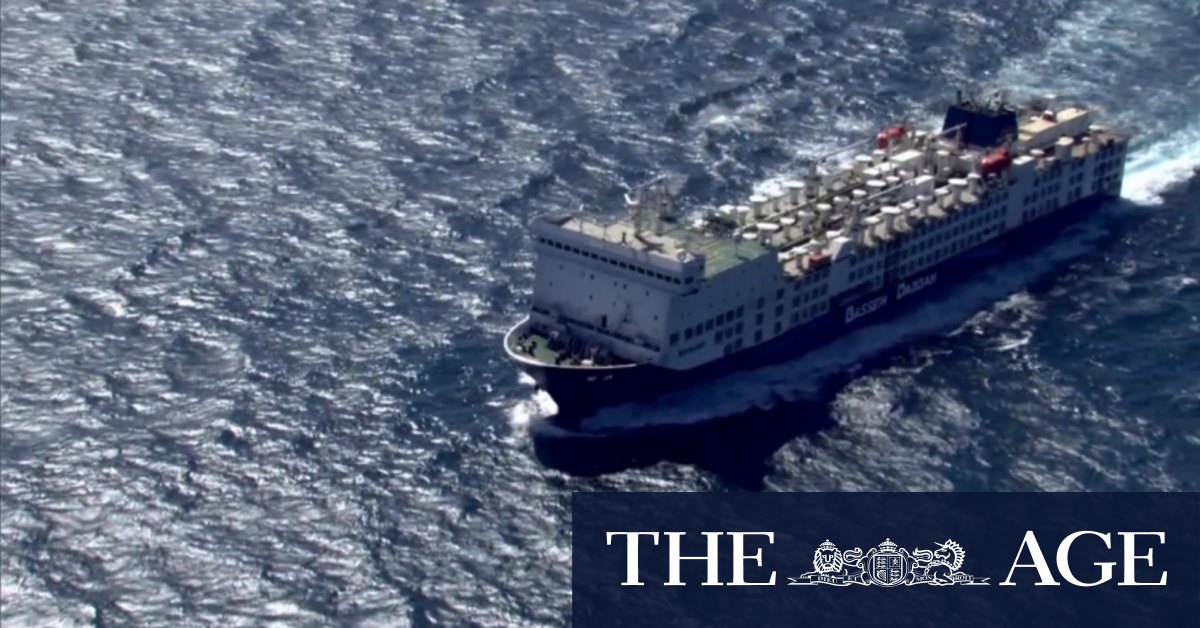 Ship docks to unload livestock after weeks-long voyage