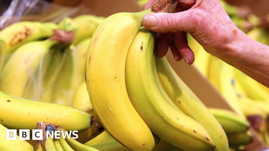 Bananas to cost more as climate warms, says expert